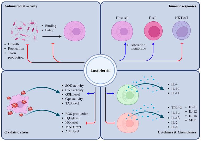 https://cdn.ncbi.nlm.nih.gov/pmc/blobs/0e10/12384211/db6eef91d5b0/biomolecules-15-01174-g002.jpg