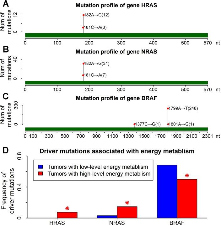 https://cdn.ncbi.nlm.nih.gov/pmc/blobs/0e12/5542174/3db53a4a0a91/oncotarget-08-45154-g006.jpg