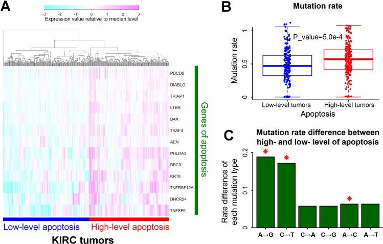 https://cdn.ncbi.nlm.nih.gov/pmc/blobs/0e12/5542174/4d404dc60ac1/oncotarget-08-45154-g003.jpg