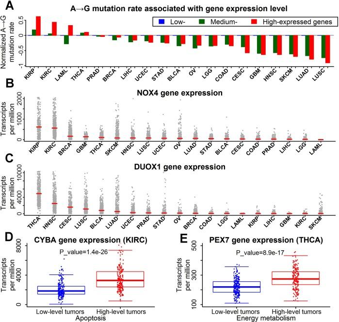 https://cdn.ncbi.nlm.nih.gov/pmc/blobs/0e12/5542174/6211f08a2233/oncotarget-08-45154-g005.jpg