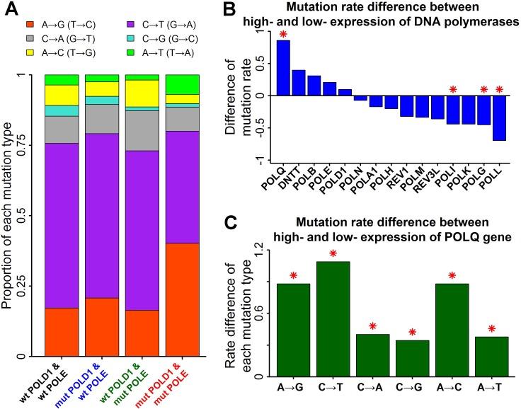 https://cdn.ncbi.nlm.nih.gov/pmc/blobs/0e12/5542174/b4bcf9f89c1c/oncotarget-08-45154-g002.jpg