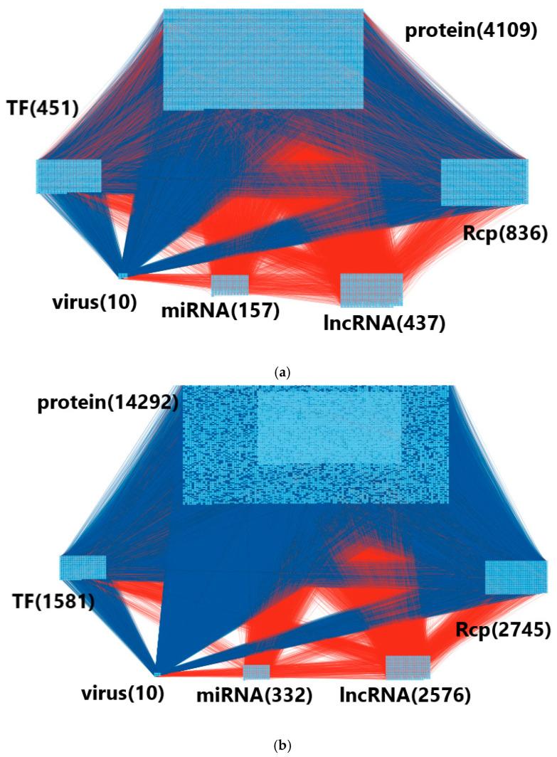 https://cdn.ncbi.nlm.nih.gov/pmc/blobs/0e14/10295364/99fe8444758f/biomedicines-11-01531-g003.jpg