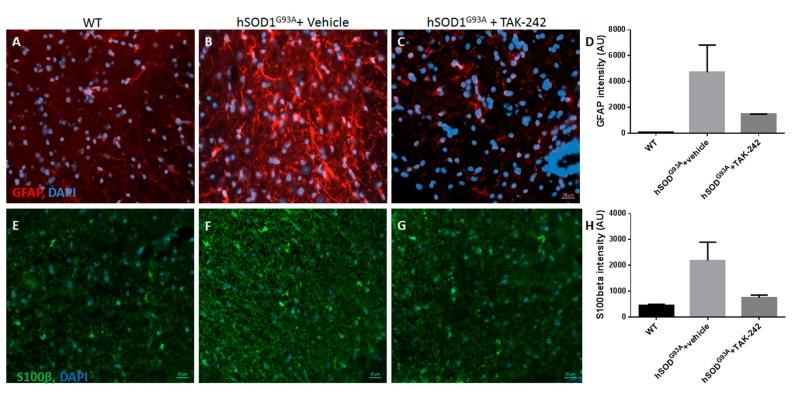 https://cdn.ncbi.nlm.nih.gov/pmc/blobs/0e1a/5578056/0d465ad7d727/ijms-18-01666-g005.jpg