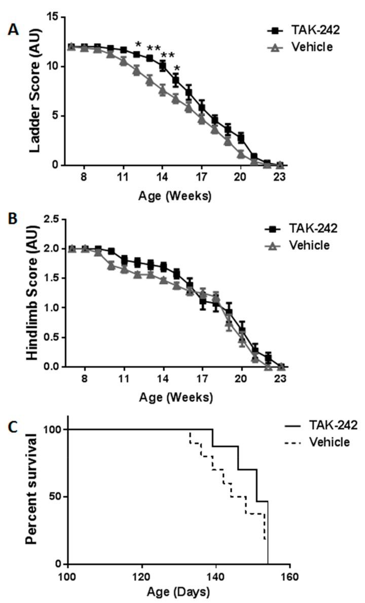 https://cdn.ncbi.nlm.nih.gov/pmc/blobs/0e1a/5578056/8aee42da6237/ijms-18-01666-g002.jpg