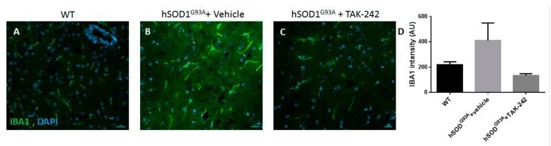 https://cdn.ncbi.nlm.nih.gov/pmc/blobs/0e1a/5578056/bc71e2968191/ijms-18-01666-g006.jpg