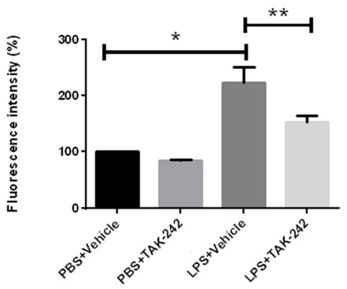 https://cdn.ncbi.nlm.nih.gov/pmc/blobs/0e1a/5578056/dc1d8f8c2232/ijms-18-01666-g001.jpg