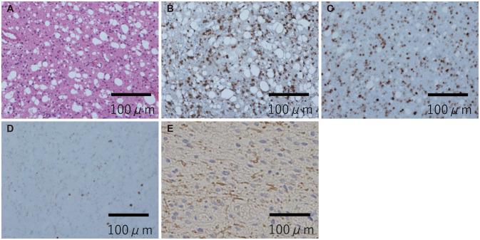 https://cdn.ncbi.nlm.nih.gov/pmc/blobs/0e1b/9098982/39ea59d4198e/btrt-10-129-g002.jpg