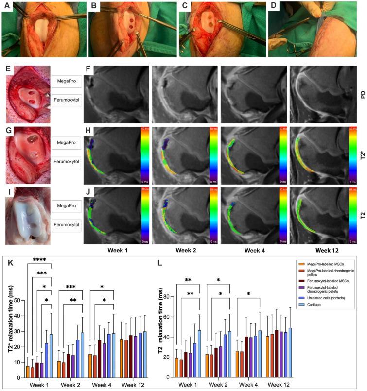 https://cdn.ncbi.nlm.nih.gov/pmc/blobs/0e1c/10196837/5b35f9d04def/thnov13p2710g003.jpg