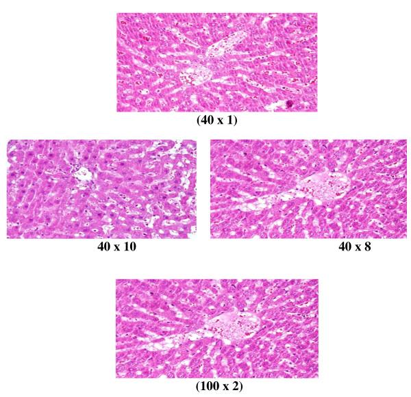https://cdn.ncbi.nlm.nih.gov/pmc/blobs/0e1d/3281779/0f78ff2315a6/1477-3155-10-5-6.jpg
