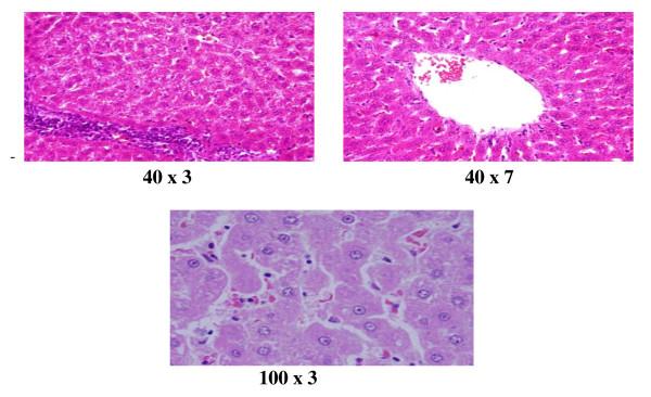 https://cdn.ncbi.nlm.nih.gov/pmc/blobs/0e1d/3281779/49e4486eea68/1477-3155-10-5-2.jpg