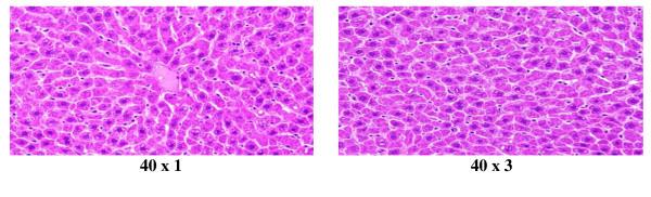 https://cdn.ncbi.nlm.nih.gov/pmc/blobs/0e1d/3281779/6a7a9cddc24d/1477-3155-10-5-1.jpg