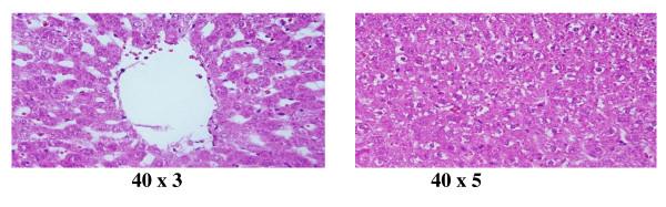 https://cdn.ncbi.nlm.nih.gov/pmc/blobs/0e1d/3281779/e0410a2fbf94/1477-3155-10-5-3.jpg