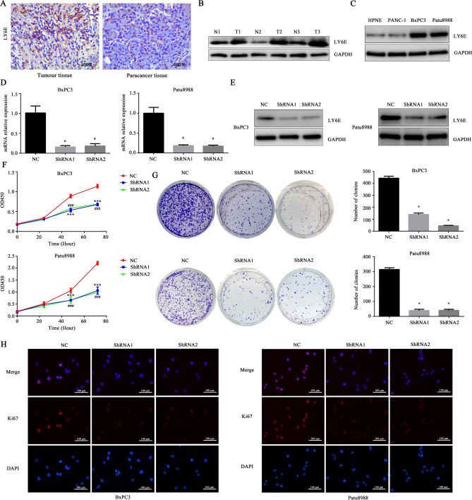 https://cdn.ncbi.nlm.nih.gov/pmc/blobs/0e1e/11364638/088e68a7370a/41598_2024_70764_Fig4_HTML.jpg