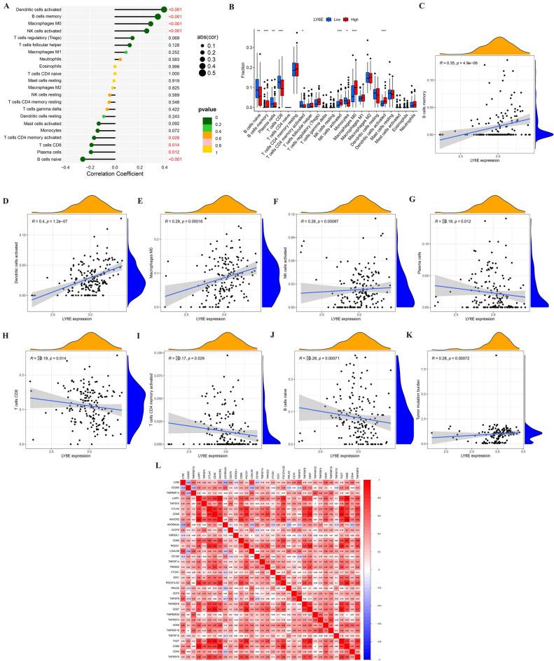 https://cdn.ncbi.nlm.nih.gov/pmc/blobs/0e1e/11364638/2e406d942ca1/41598_2024_70764_Fig3_HTML.jpg