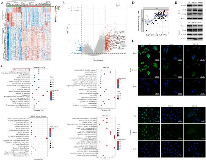 https://cdn.ncbi.nlm.nih.gov/pmc/blobs/0e1e/11364638/5aed5c40bb35/41598_2024_70764_Fig8_HTML.jpg