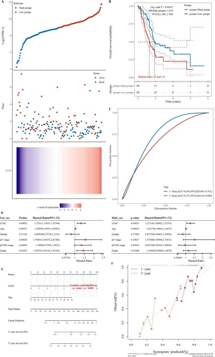 https://cdn.ncbi.nlm.nih.gov/pmc/blobs/0e1e/11364638/724833f16797/41598_2024_70764_Fig2_HTML.jpg