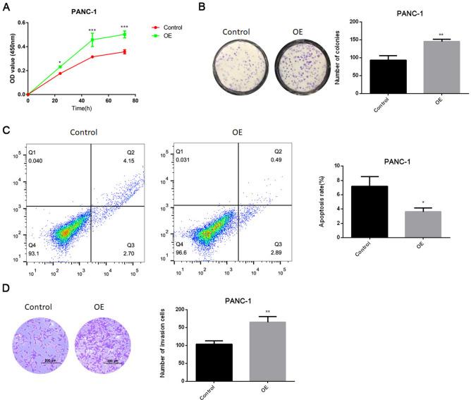 https://cdn.ncbi.nlm.nih.gov/pmc/blobs/0e1e/11364638/8aaca038d3a4/41598_2024_70764_Fig7_HTML.jpg