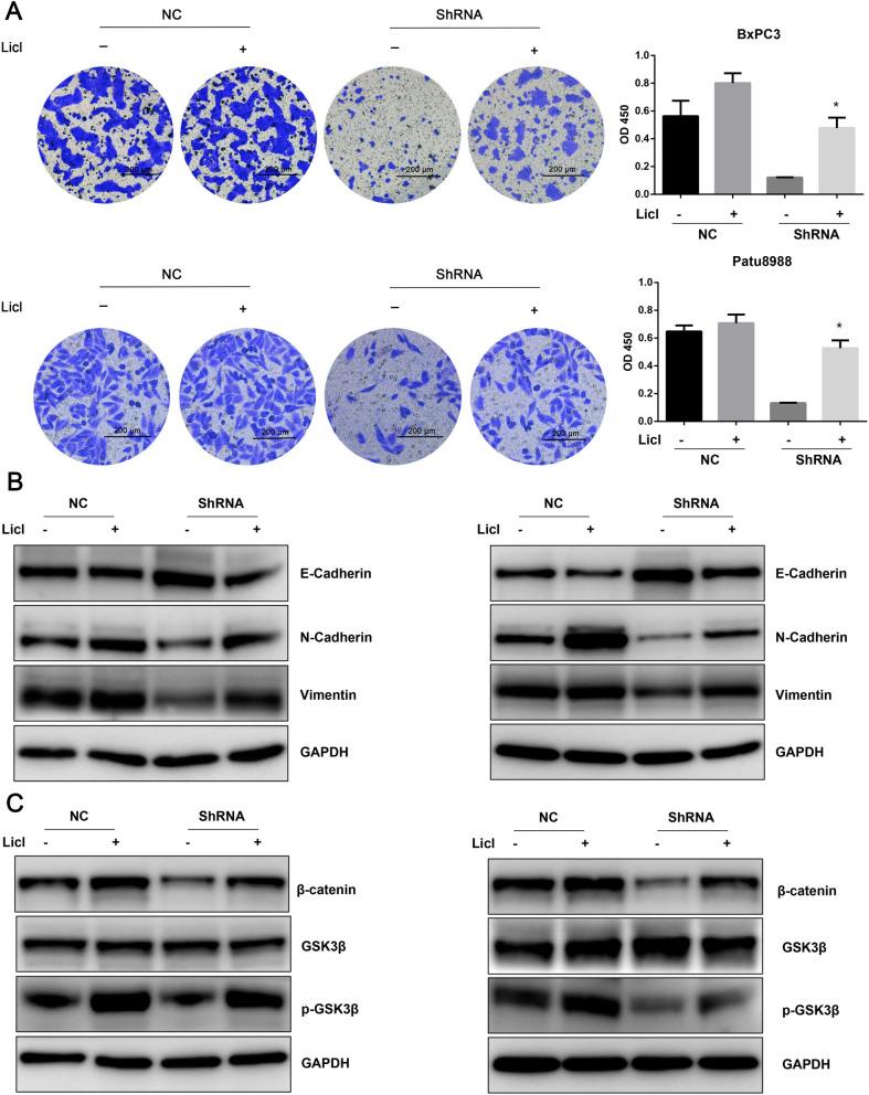https://cdn.ncbi.nlm.nih.gov/pmc/blobs/0e1e/11364638/9769e2b257c3/41598_2024_70764_Fig10_HTML.jpg