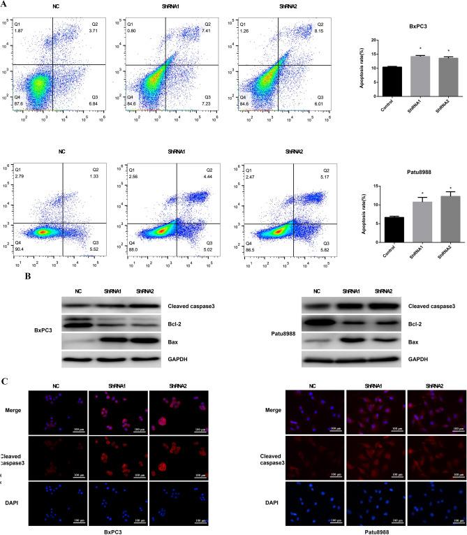 https://cdn.ncbi.nlm.nih.gov/pmc/blobs/0e1e/11364638/c072765e912d/41598_2024_70764_Fig5_HTML.jpg