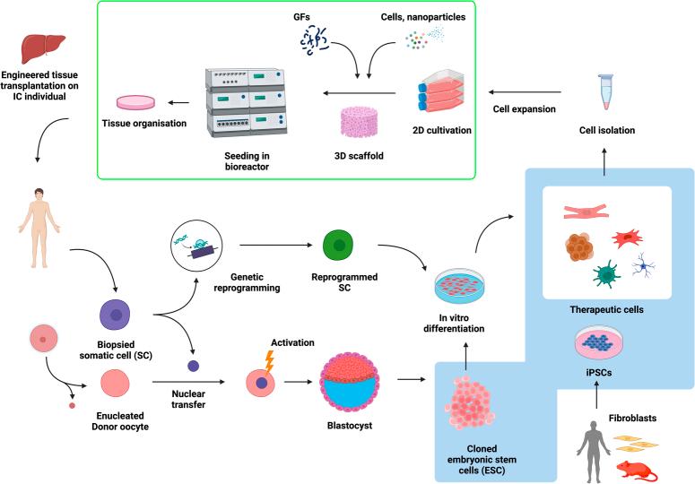 https://cdn.ncbi.nlm.nih.gov/pmc/blobs/0e1f/11634172/3a6cd6a844d4/js9-110-7508-g002.jpg
