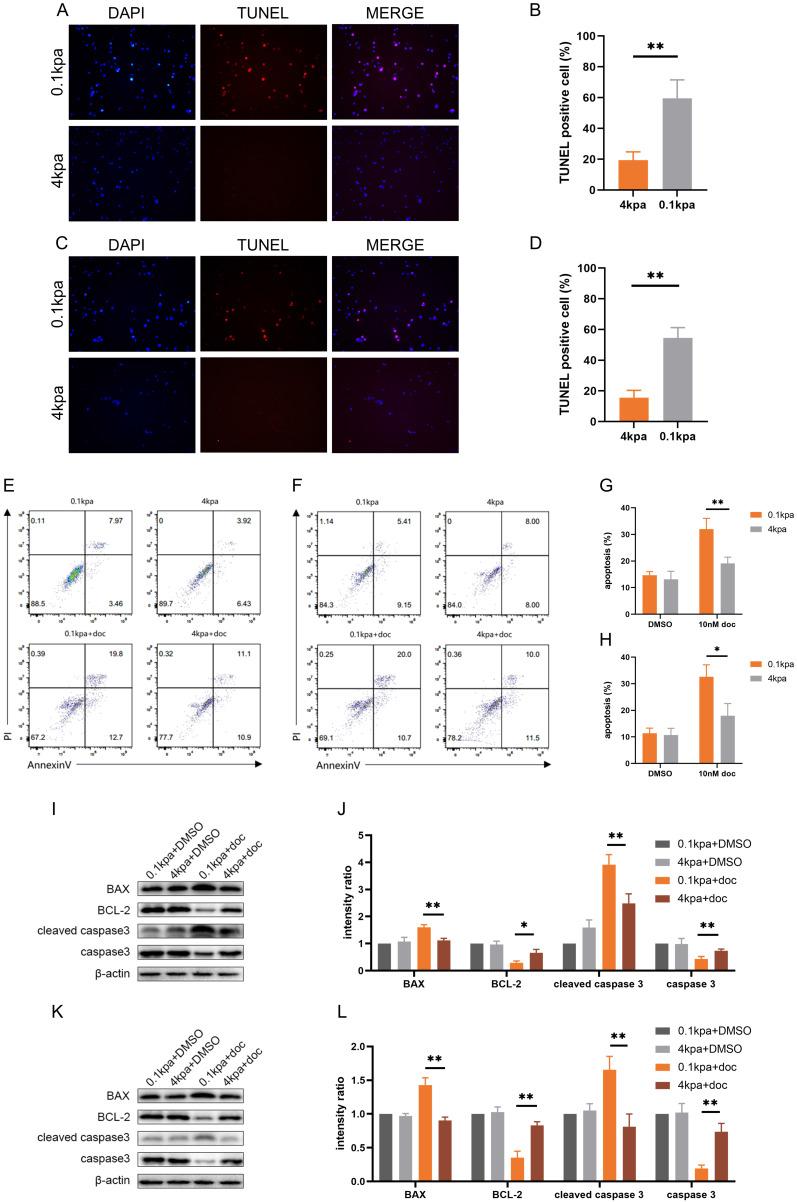 https://cdn.ncbi.nlm.nih.gov/pmc/blobs/0e1f/12375136/46d228290faa/ijmsv22p3454g002.jpg