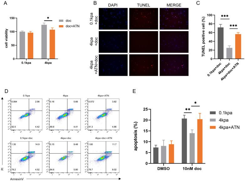 https://cdn.ncbi.nlm.nih.gov/pmc/blobs/0e1f/12375136/4bcaa3708a6d/ijmsv22p3454g003.jpg