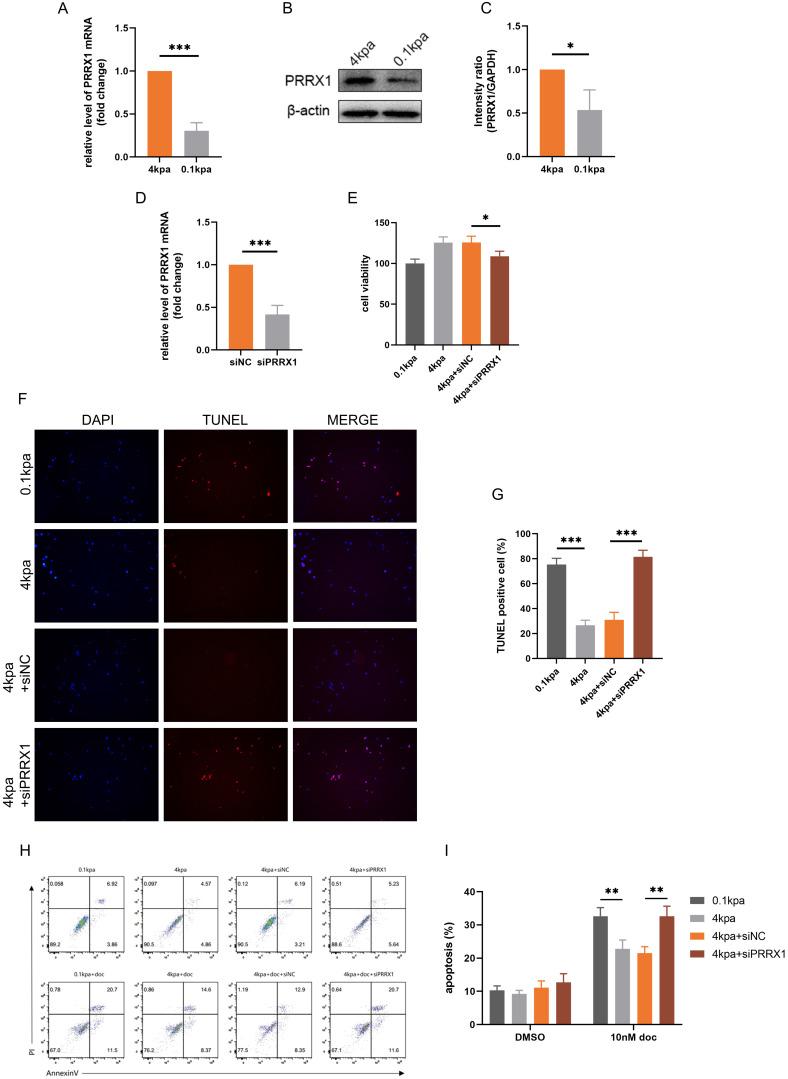 https://cdn.ncbi.nlm.nih.gov/pmc/blobs/0e1f/12375136/9fe46f537171/ijmsv22p3454g005.jpg