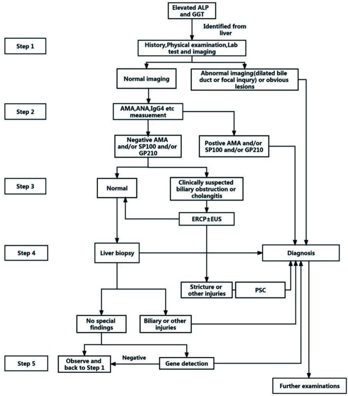 https://cdn.ncbi.nlm.nih.gov/pmc/blobs/0e20/9396310/af5f4c8b59ed/JCTH-10-757-g002.jpg
