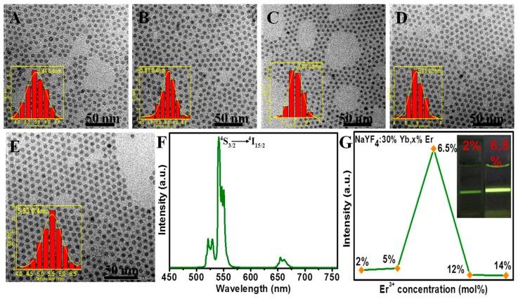 https://cdn.ncbi.nlm.nih.gov/pmc/blobs/0e21/6150031/a0fcb2374348/molecules-22-02113-g003.jpg