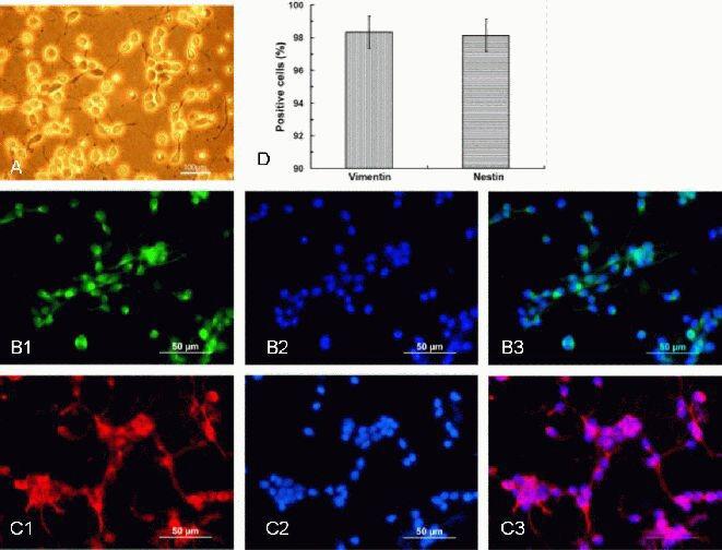 https://cdn.ncbi.nlm.nih.gov/pmc/blobs/0e26/4145957/a4598c6cea42/NRR-8-1783-g002.jpg