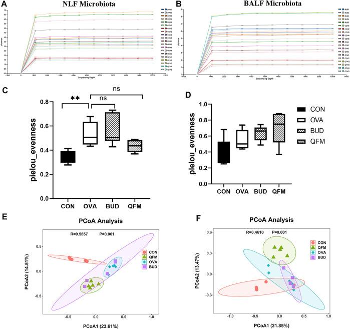https://cdn.ncbi.nlm.nih.gov/pmc/blobs/0e26/9445488/b1c638c8c185/fphar-13-911667-g004.jpg