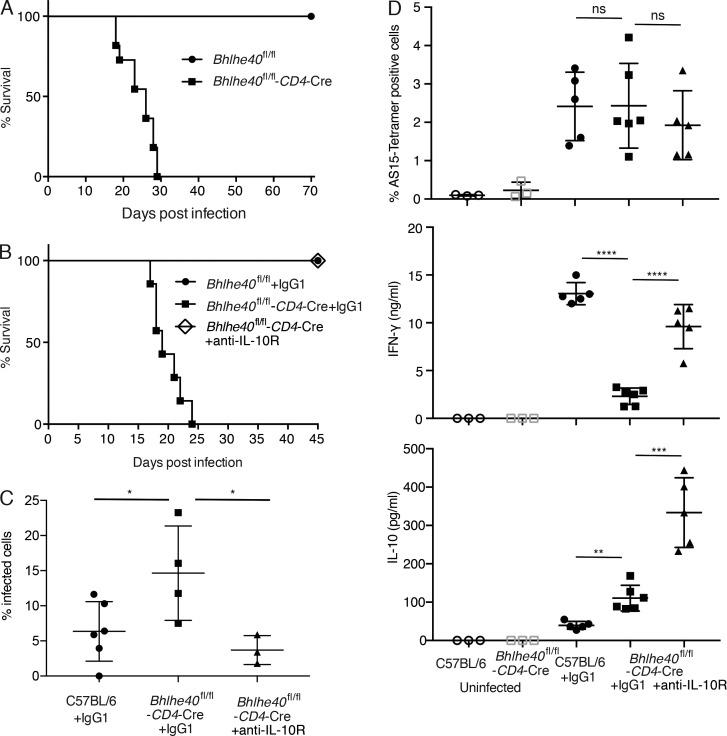 https://cdn.ncbi.nlm.nih.gov/pmc/blobs/0e28/6028509/49ad5f8eb1e1/JEM_20170155_Fig4.jpg