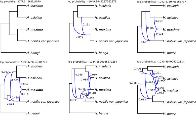 https://cdn.ncbi.nlm.nih.gov/pmc/blobs/0e29/7529770/c878f97d725b/41598_2020_73397_Fig6_HTML.jpg