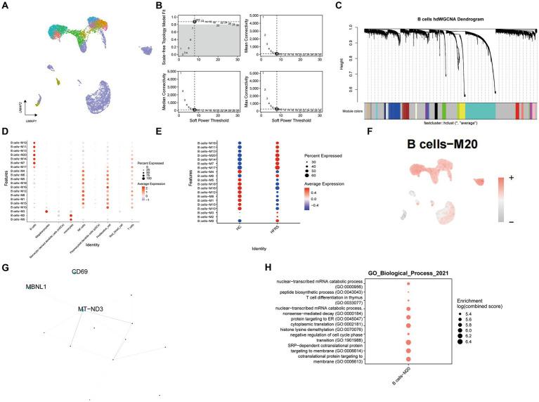https://cdn.ncbi.nlm.nih.gov/pmc/blobs/0e2a/11128564/63d8221952a2/fmed-11-1403335-g009.jpg