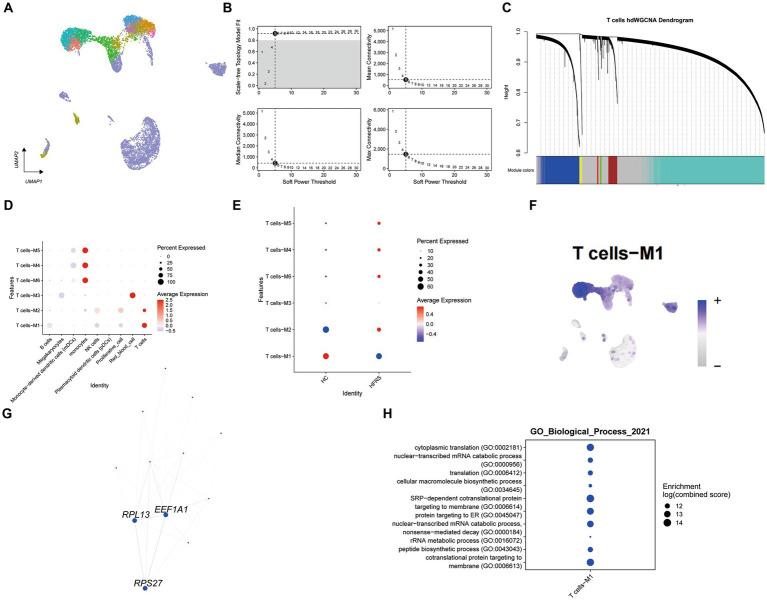 https://cdn.ncbi.nlm.nih.gov/pmc/blobs/0e2a/11128564/9022d3861c22/fmed-11-1403335-g008.jpg