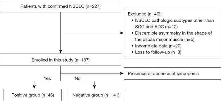 https://cdn.ncbi.nlm.nih.gov/pmc/blobs/0e2a/11485386/9d197ca1da6c/qims-14-10-7098-f1.jpg