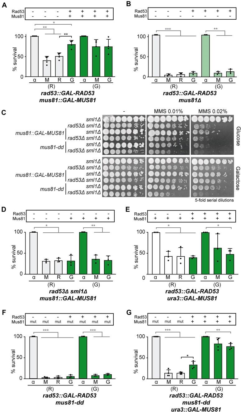 https://cdn.ncbi.nlm.nih.gov/pmc/blobs/0e2c/12309369/e54812c8fc83/gkaf707fig4.jpg