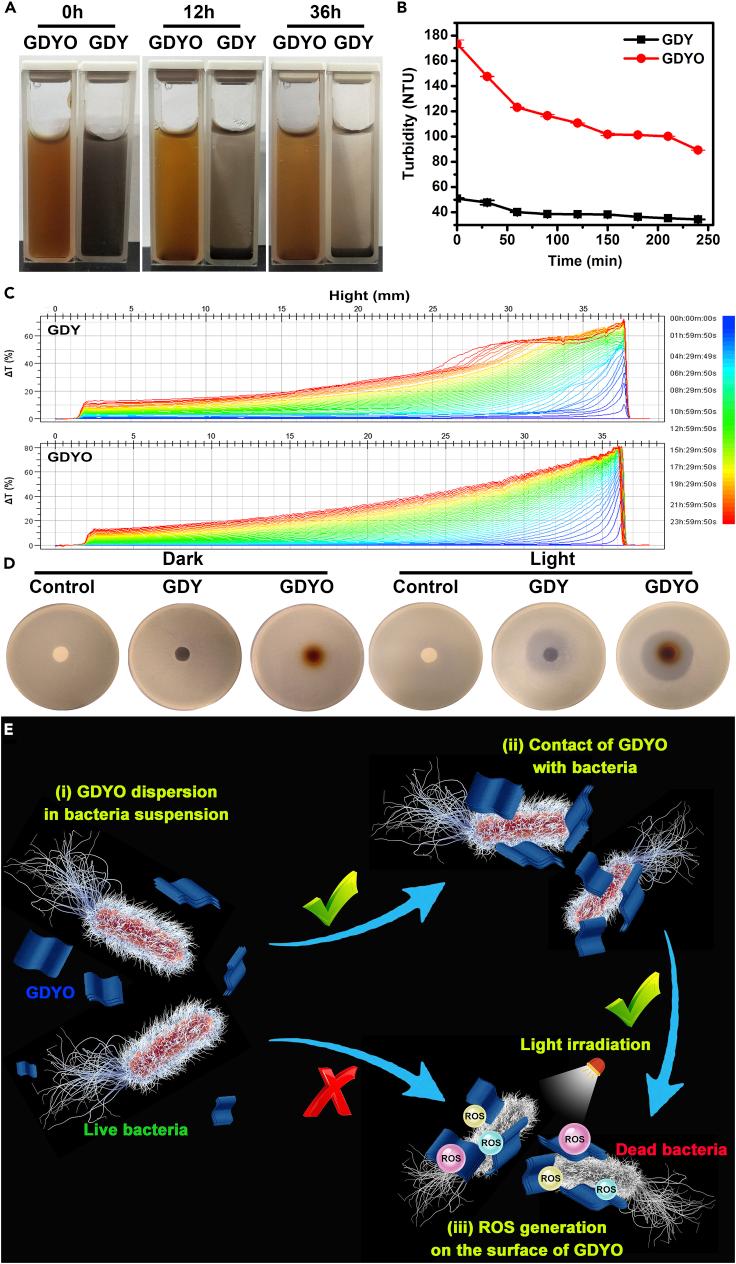 https://cdn.ncbi.nlm.nih.gov/pmc/blobs/0e2c/6728613/de530734bfaa/gr7.jpg