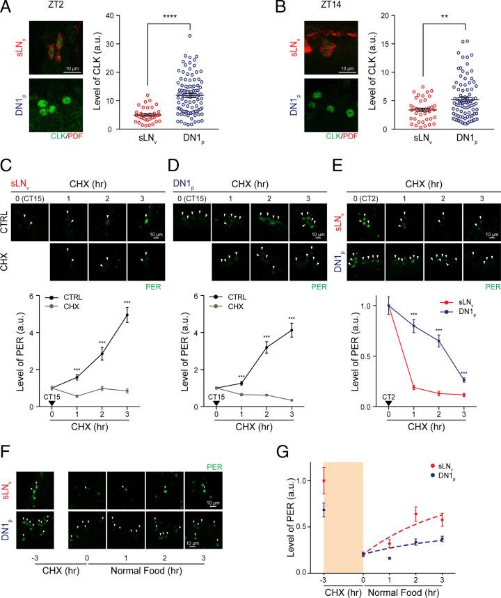https://cdn.ncbi.nlm.nih.gov/pmc/blobs/0e2e/8872709/55d20c097908/pnas.2113403119fig03.jpg