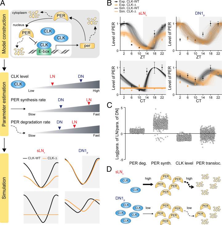 https://cdn.ncbi.nlm.nih.gov/pmc/blobs/0e2e/8872709/f74c41e3ea6a/pnas.2113403119fig02.jpg