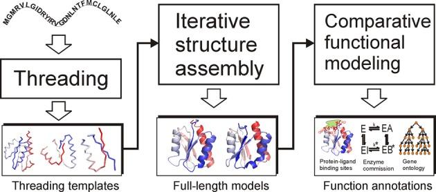 https://cdn.ncbi.nlm.nih.gov/pmc/blobs/0e30/4489253/8cbed7f76330/gkv342fig1.jpg