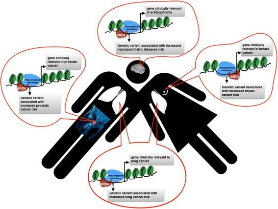 https://cdn.ncbi.nlm.nih.gov/pmc/blobs/0e30/5374680/6b5e49fc81fc/12864_2017_3620_Fig4_HTML.jpg