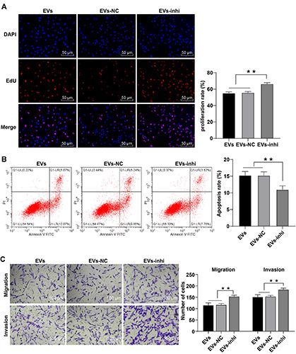 https://cdn.ncbi.nlm.nih.gov/pmc/blobs/0e31/9251612/2b1a69732a85/ejh-66-3-3394-g004.jpg