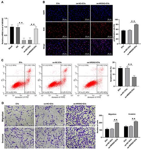 https://cdn.ncbi.nlm.nih.gov/pmc/blobs/0e31/9251612/4431cb80a9a0/ejh-66-3-3394-g006.jpg