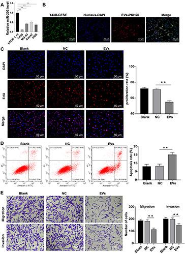 https://cdn.ncbi.nlm.nih.gov/pmc/blobs/0e31/9251612/69170b44ce9f/ejh-66-3-3394-g002.jpg