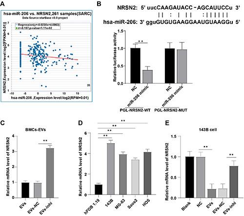 https://cdn.ncbi.nlm.nih.gov/pmc/blobs/0e31/9251612/b3c362ce3699/ejh-66-3-3394-g005.jpg