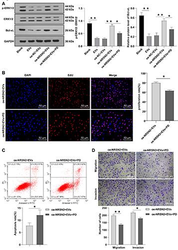 https://cdn.ncbi.nlm.nih.gov/pmc/blobs/0e31/9251612/c667cacbeea1/ejh-66-3-3394-g007.jpg