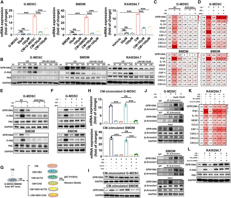 https://cdn.ncbi.nlm.nih.gov/pmc/blobs/0e32/11525019/42748f639637/gr6.jpg