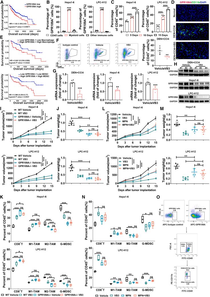 https://cdn.ncbi.nlm.nih.gov/pmc/blobs/0e32/11525019/586fb941275e/gr5.jpg