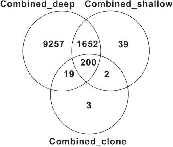 https://cdn.ncbi.nlm.nih.gov/pmc/blobs/0e32/5943533/cc3967bb311a/fmicb-09-00887-g004.jpg